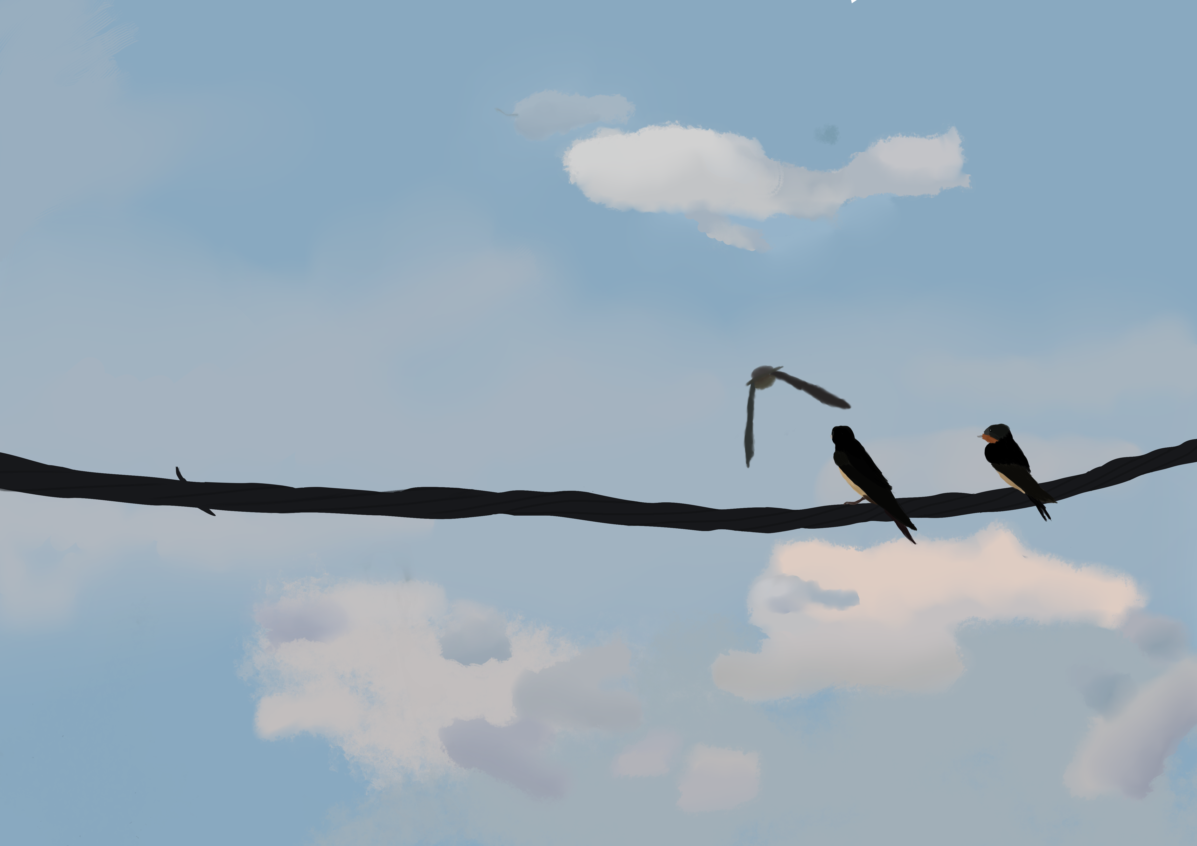 Barn-swallows